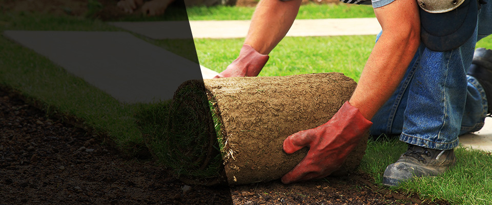 Hodgenville Landscapers